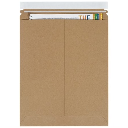 Bsc Preferred 11 x 13-1/2'' Kraft Self-Seal Stayflats Plus Mailers, 100PK BUY00017341